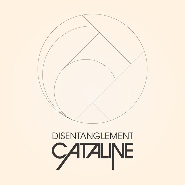 Disentanglement cover art