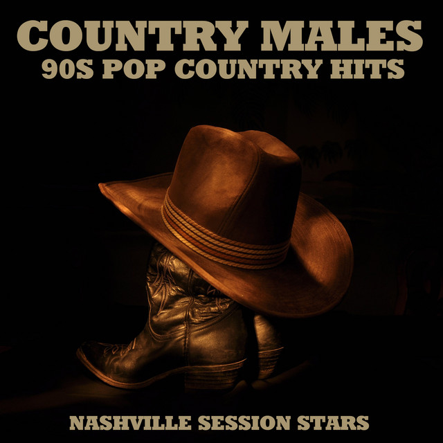 country-males-90s-pop-country-hits-album-by-nashville-session-stars