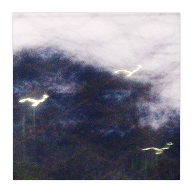 homelight album image