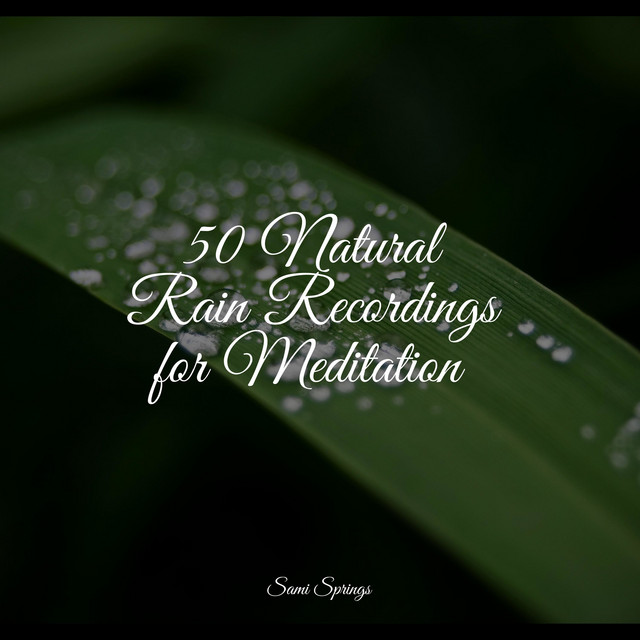 50 Natural Rain Recordings for Meditation - Album by Sleep Sounds of ...