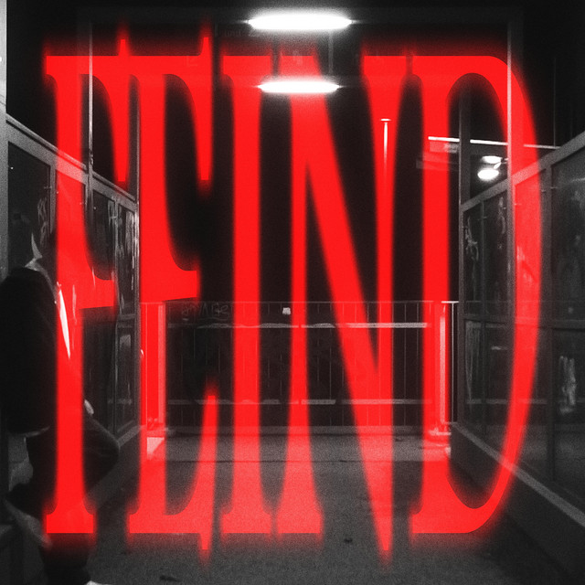 FEIND cover