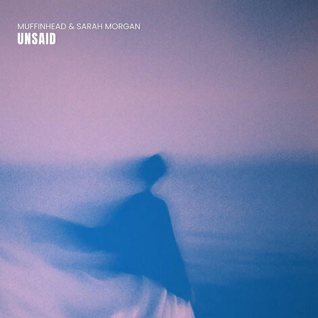 Unsaid