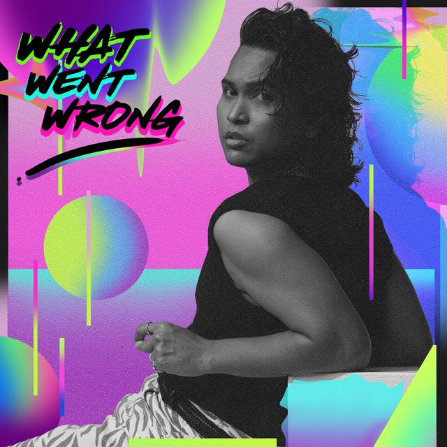 What Went Wrong cover art