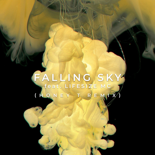 Falling Sky feat. Lifesize MC - Honey T Remix artwork