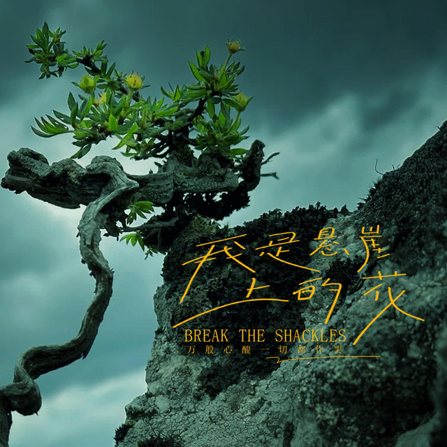 杨凯盛 – 我是悬崖上的花