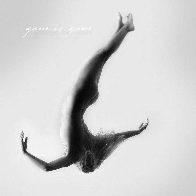 Gone Is Gone cover art