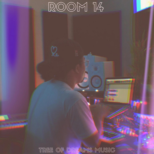 Room 14 (Instrumentals) cover art