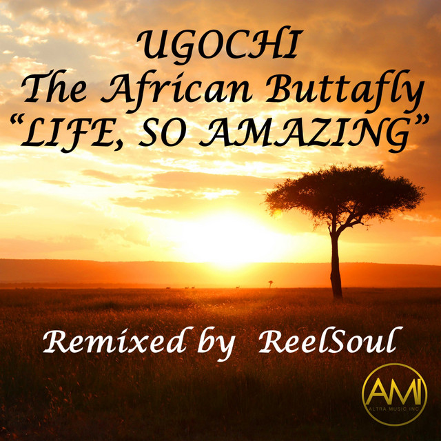 Life, So Amazing (ReelSoul Remix) cover art