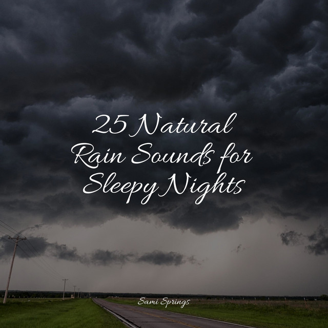 25 Natural Rain Sounds for Sleepy Nights - Album by Rain Drops for ...