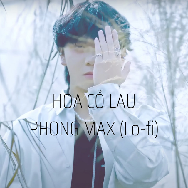Hoa Cỏ Lau - Lo-Fi Version