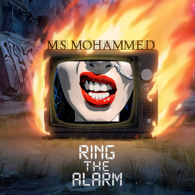Ring The Alarm cover