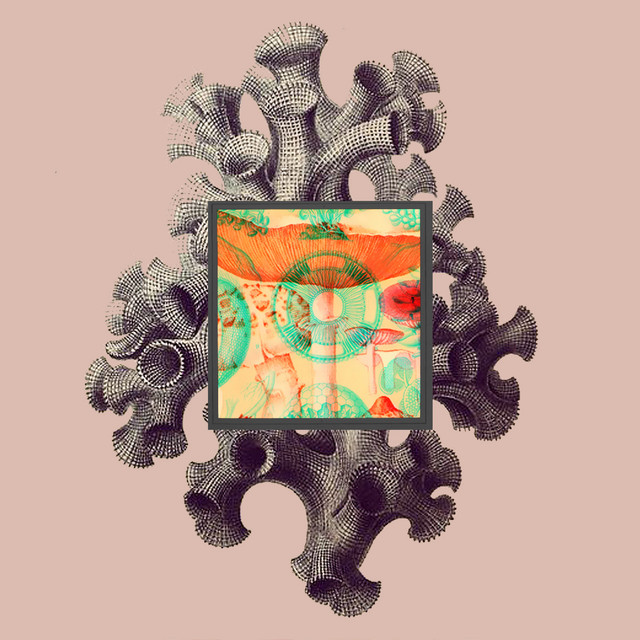 Carbon cover art