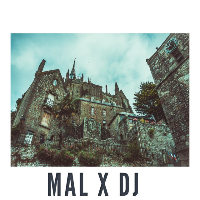 Vicious Nonbeliever MAL X DJ cover art