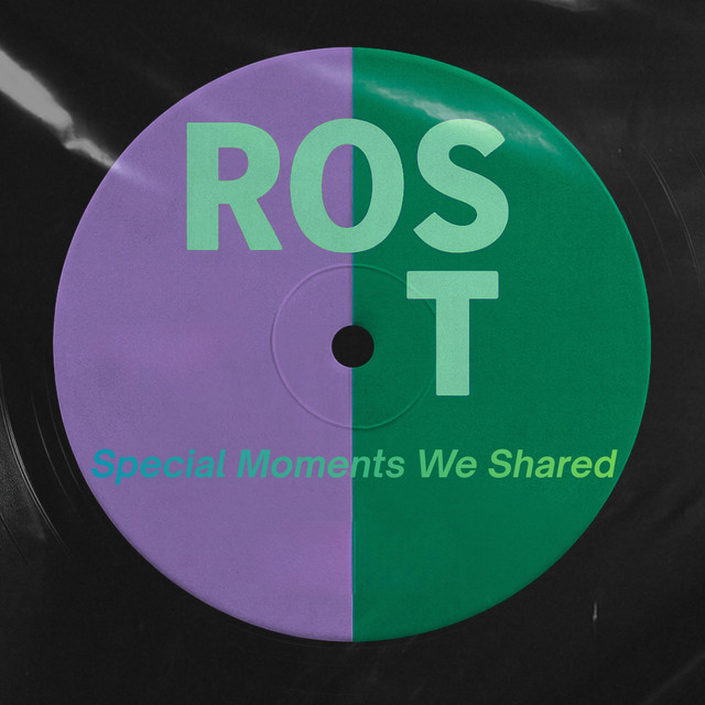 Special Moments We Shared - Extended Mix album art