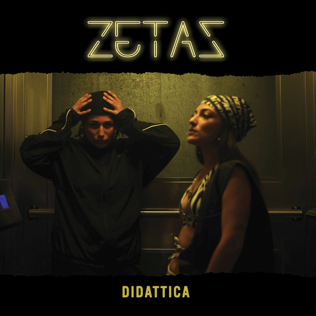 Didattica cover art