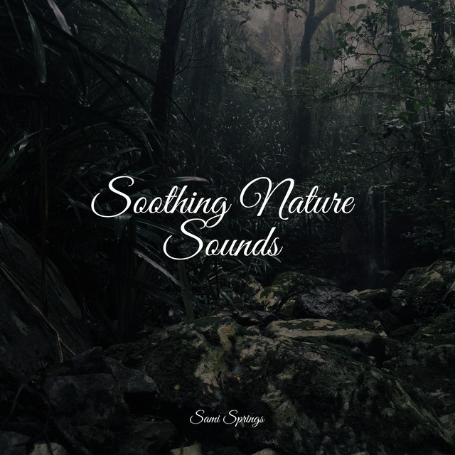 Soothing Nature Sounds - Album by Deep Sleep Brown Noise | Spotify