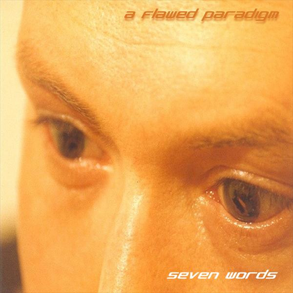 a flawed paradigm cover art