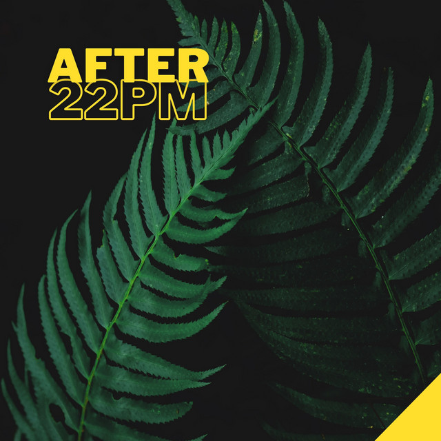 After 22pm - The Best 2021 Playlist, Relax on the Beach, Ibiza Party Lounge, Cafe Relaxation, Bali Chill Out, Music del Mar cover art