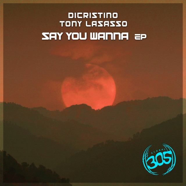 Say You Wanna - Original Mix cover art