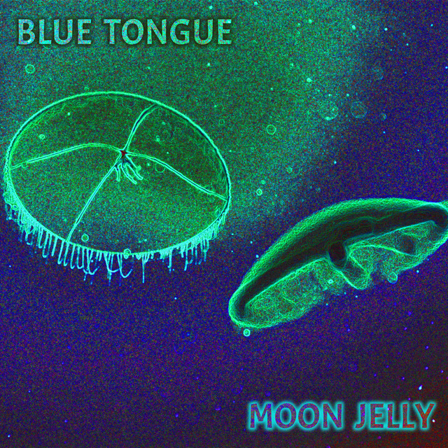 Moon Jelly (Instrumental) cover