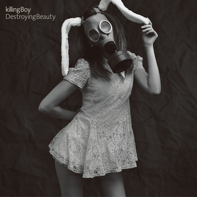 Destroying Beauty cover