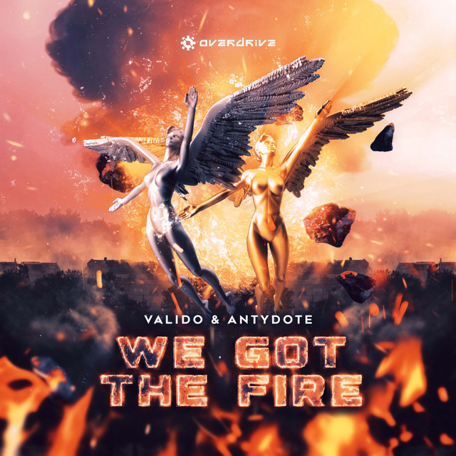 We Got The Fire - Extended Mix album art