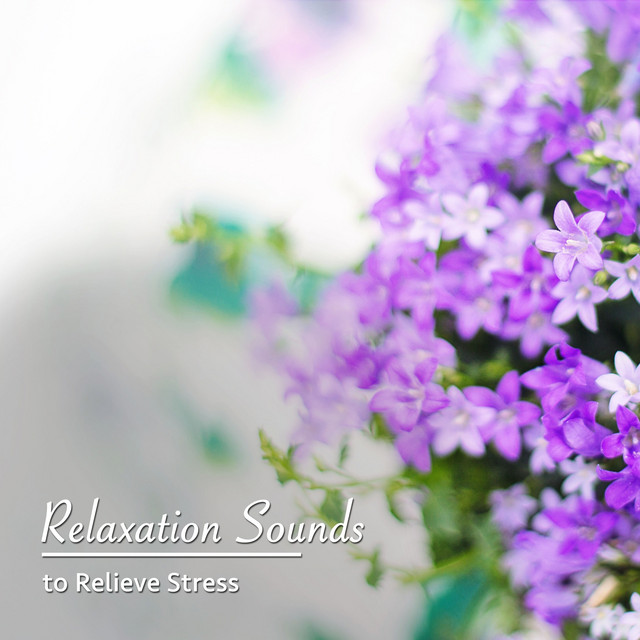 #15 Relaxation Sounds to Relieve Stress - Album by Yoga Music | Spotify