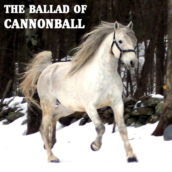 The Ballad Of Cannonball cover