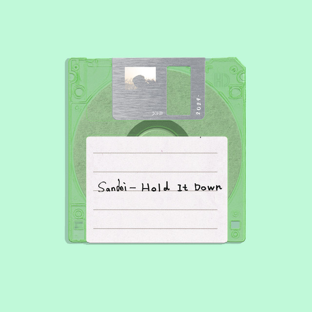 Hold It Down album image