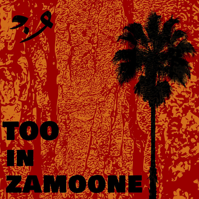 کاور آهنگ Too in Zamoone از وان‌دم