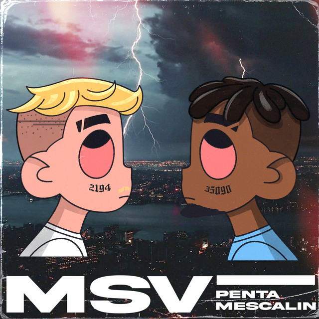 MSV cover art