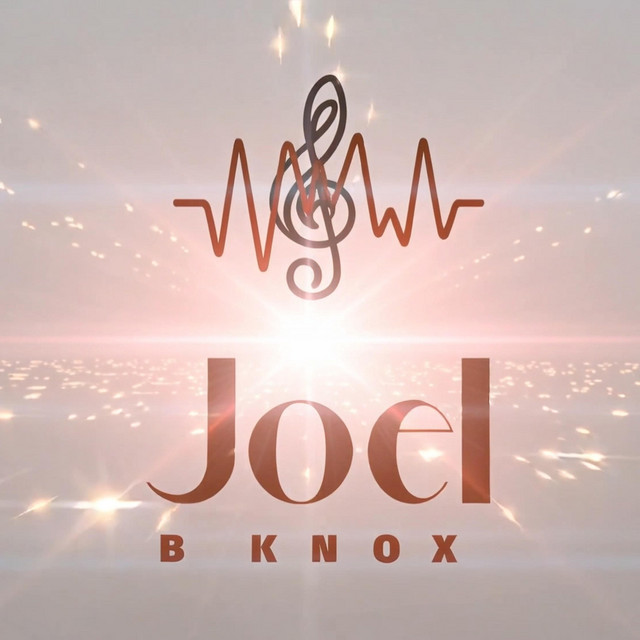 Joel B Knox