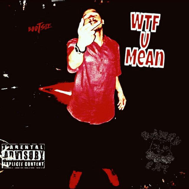 WTF U Mean (Remix) cover