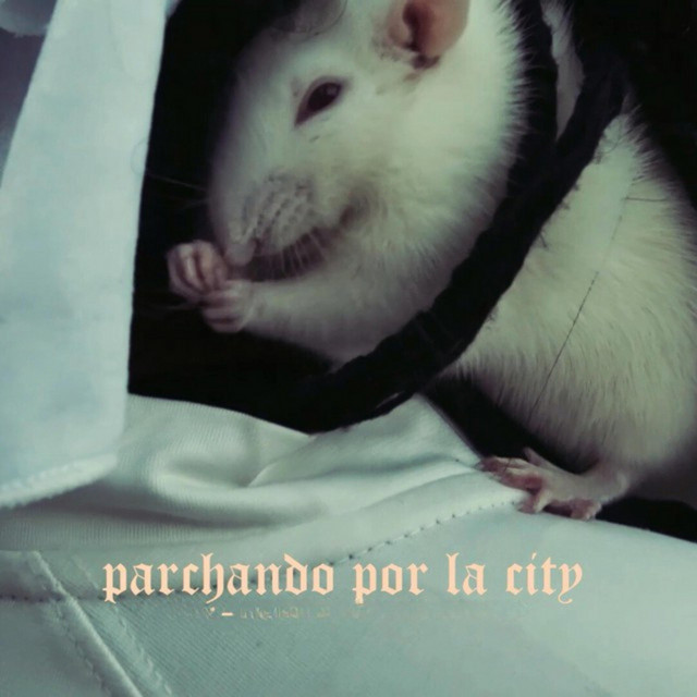 Parchando por la City
