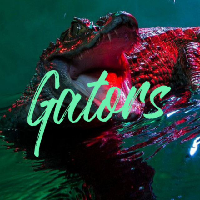 Gators - Single by BenDiS MuziK | Spotify