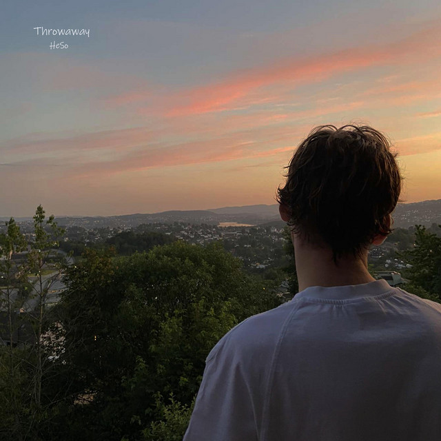 Throwaway cover art
