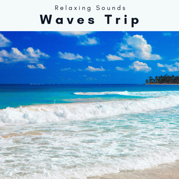 A Waves Trip cover art