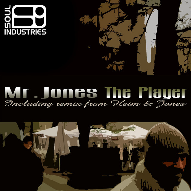 The Player cover art