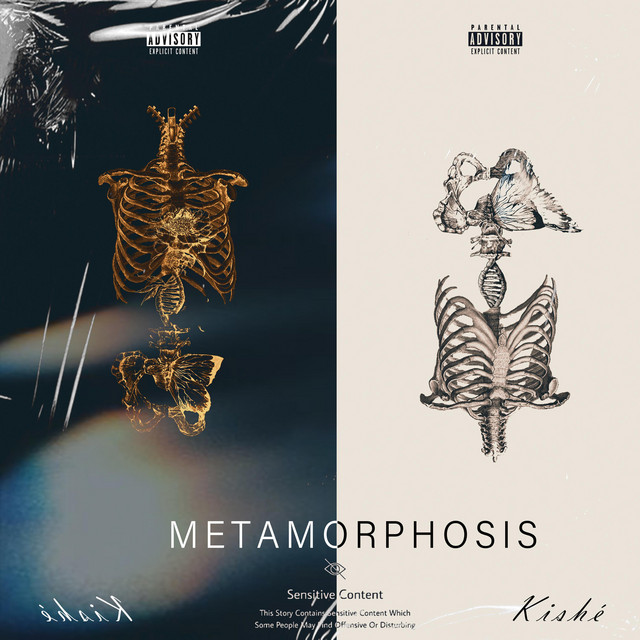 METAMORPHOSIS cover art