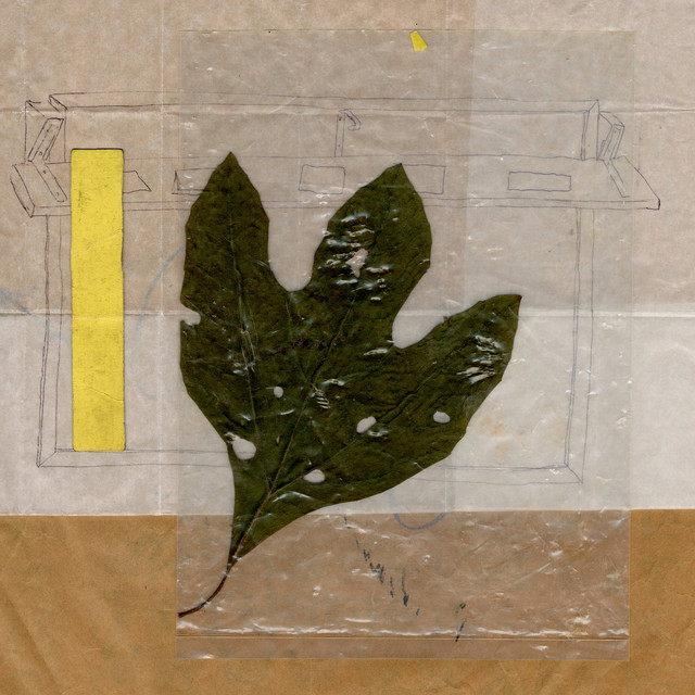 Courage Left in a Tree cover art