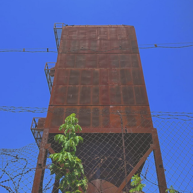 Selector cover art