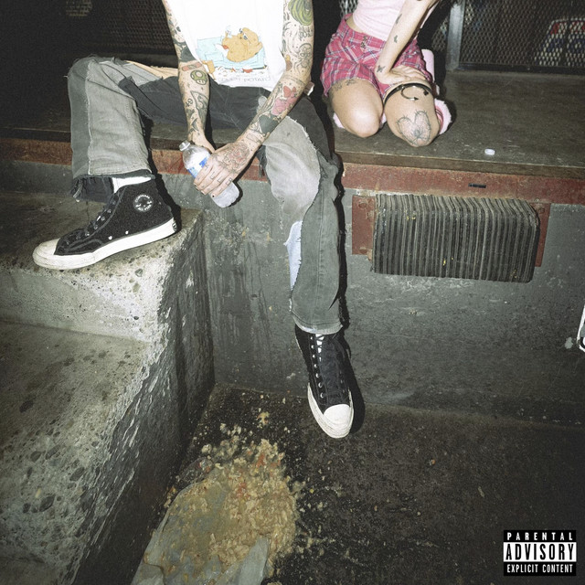 Dying cover art