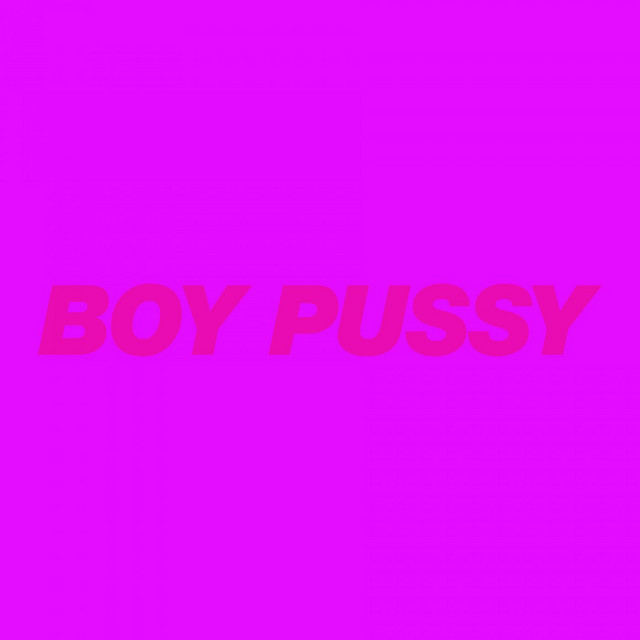 Boy Pussy: The Remixes, Vol. 2 cover art