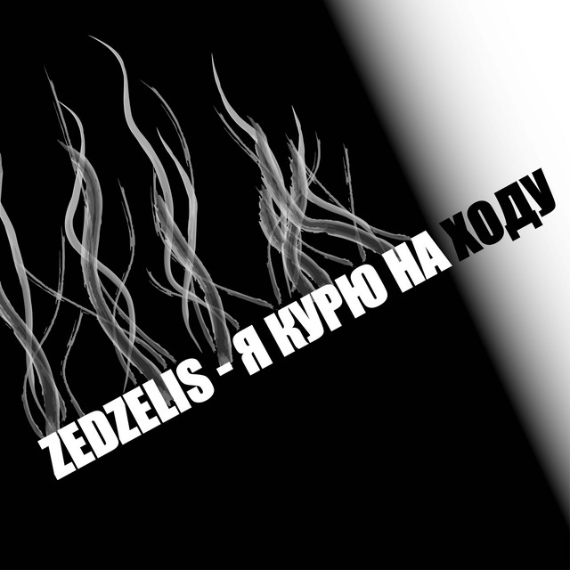 Обкладинка: Я курю на ходу — Zedzelis