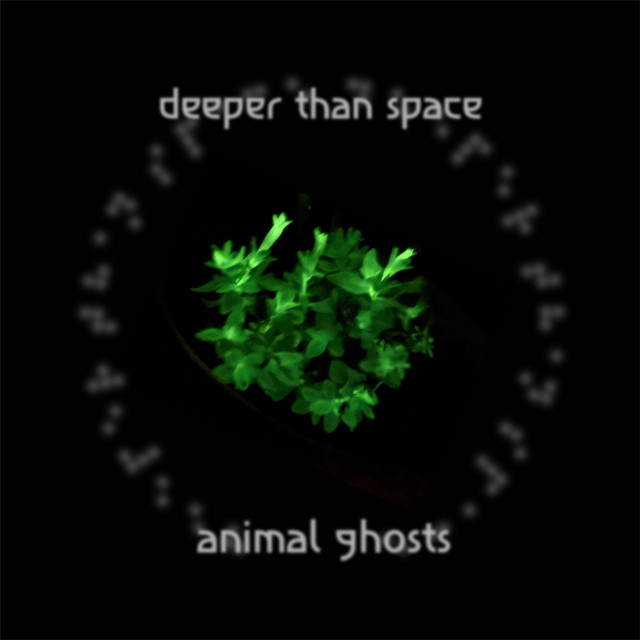 Animal Ghosts cover