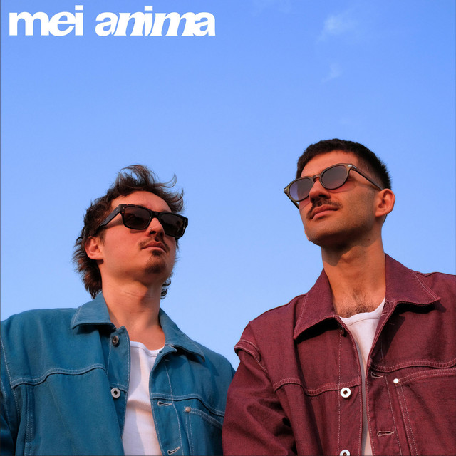 Searching for Clues cover art