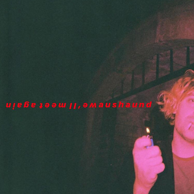we'll meet again cover art