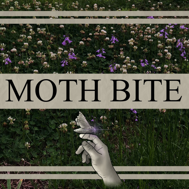 Moth Bite cover art