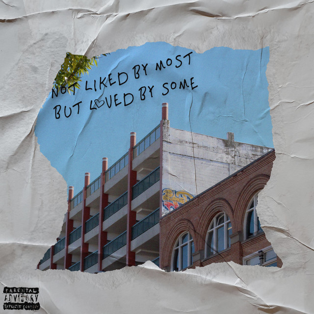 Not Liked By Most But Loved By Some cover art
