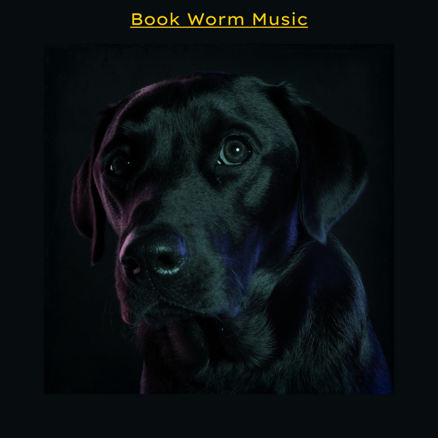 Book Worm Music cover art